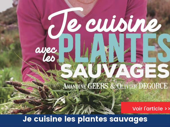 Je cuisine les plantes sauvages